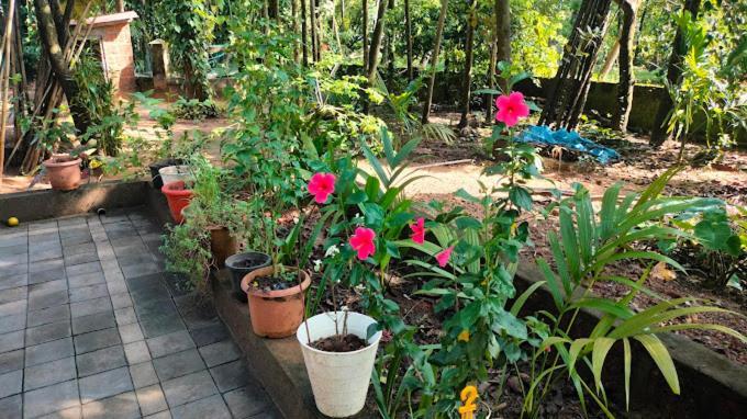 Sneh Beach Homestay - Wayangani Vengurla Exterior photo